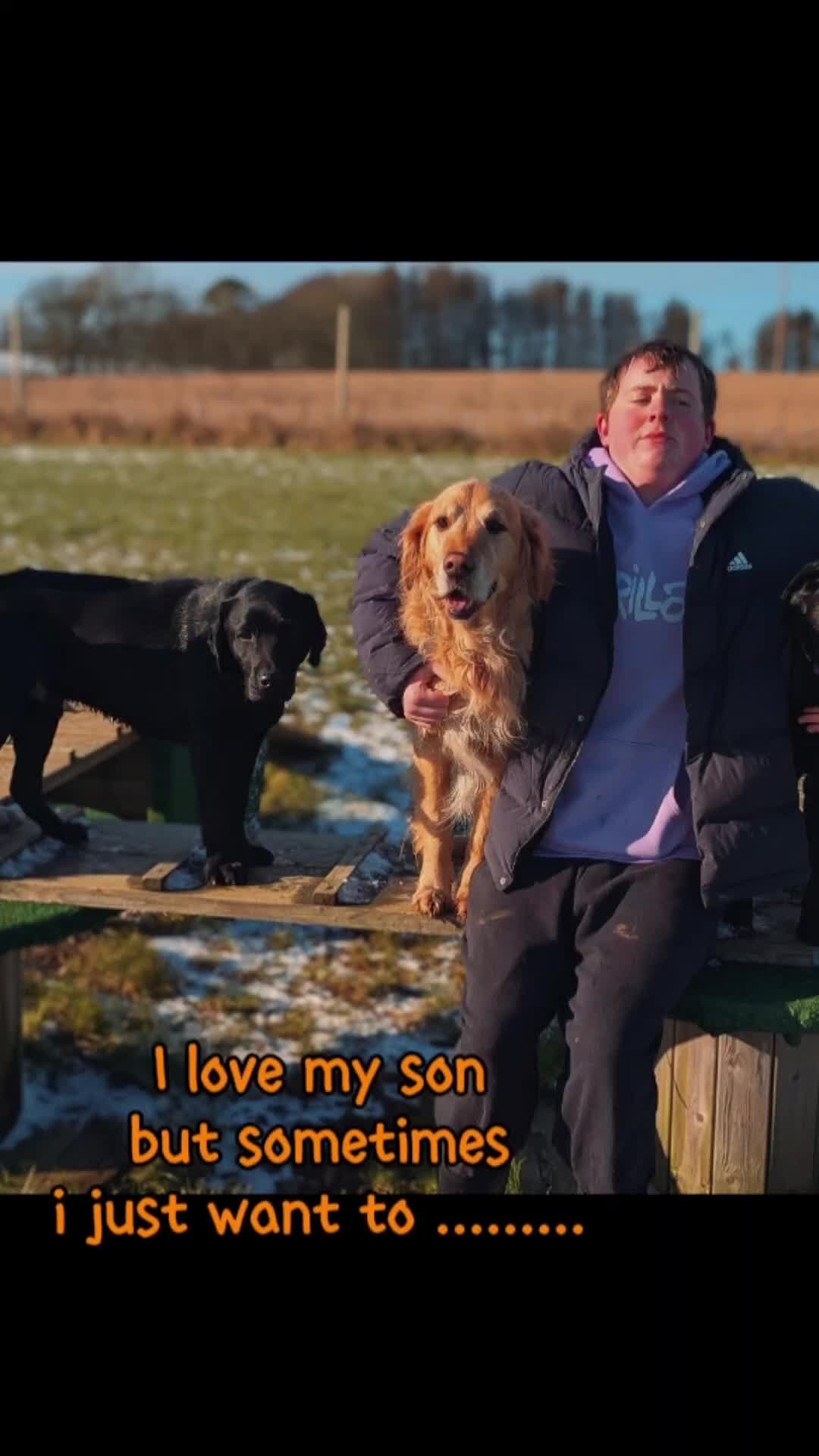 @Tracy's dog walking