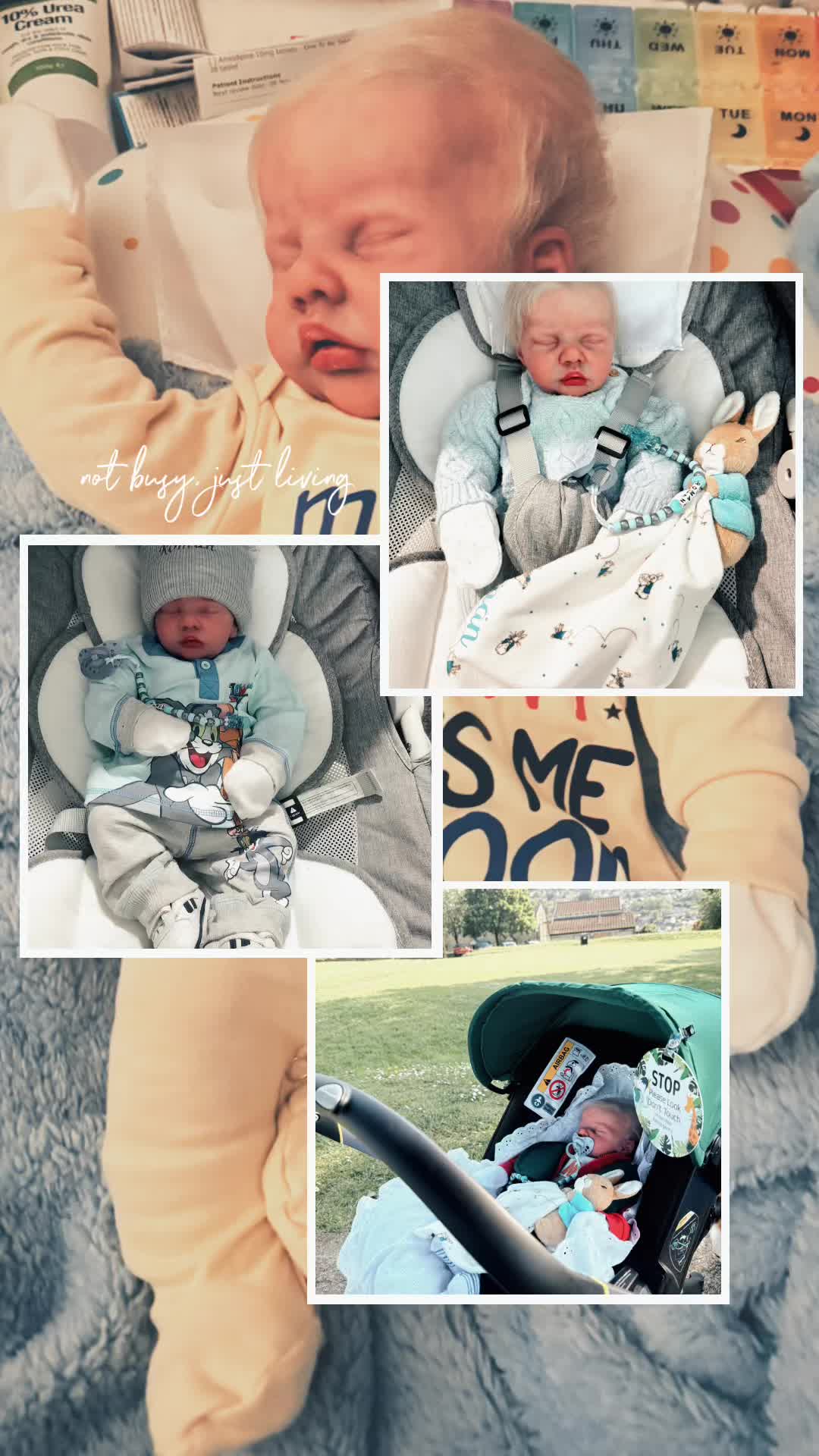 @Emma De-Ville/MH-Reborn-mum