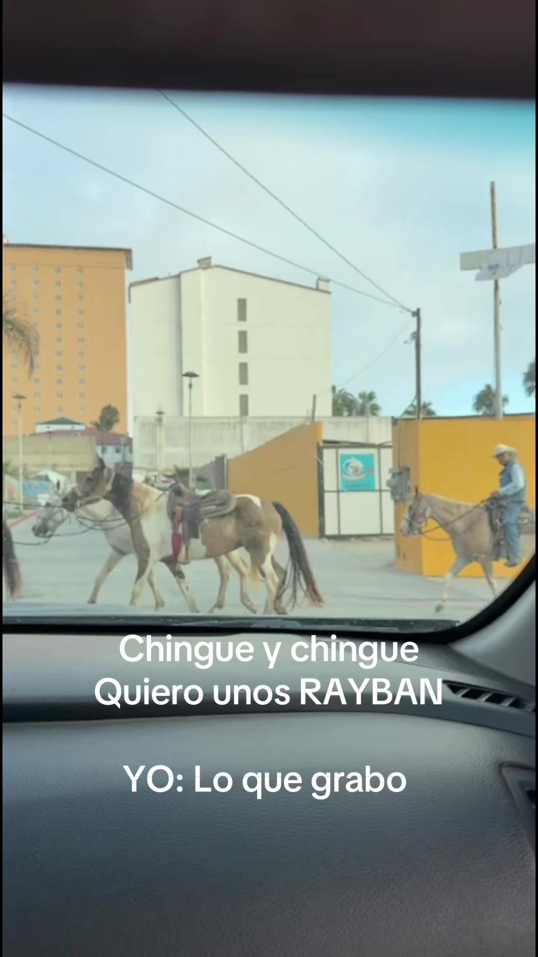 @dianamxlivlogs