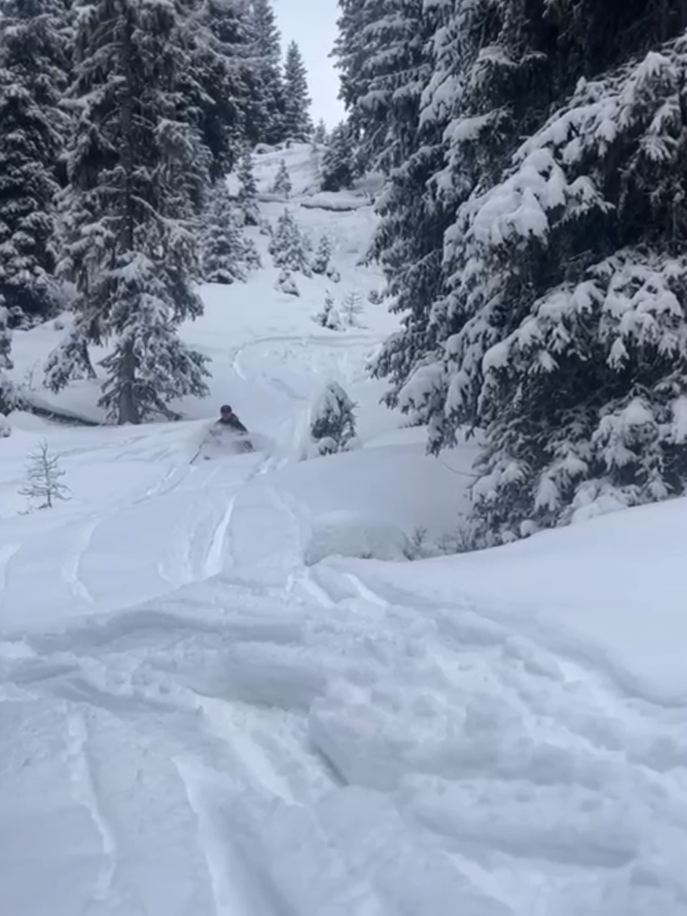 @matz_hoara_mtb🇦🇹