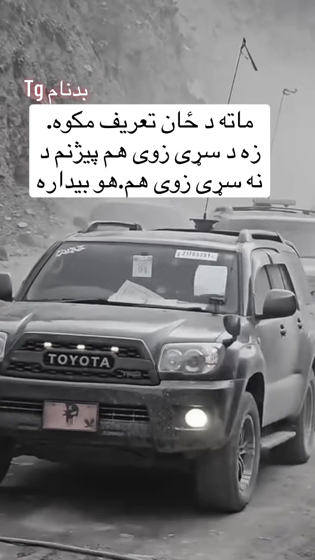 @safi.tg2026