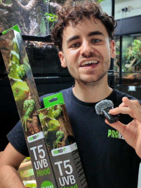 @prorep_reptile