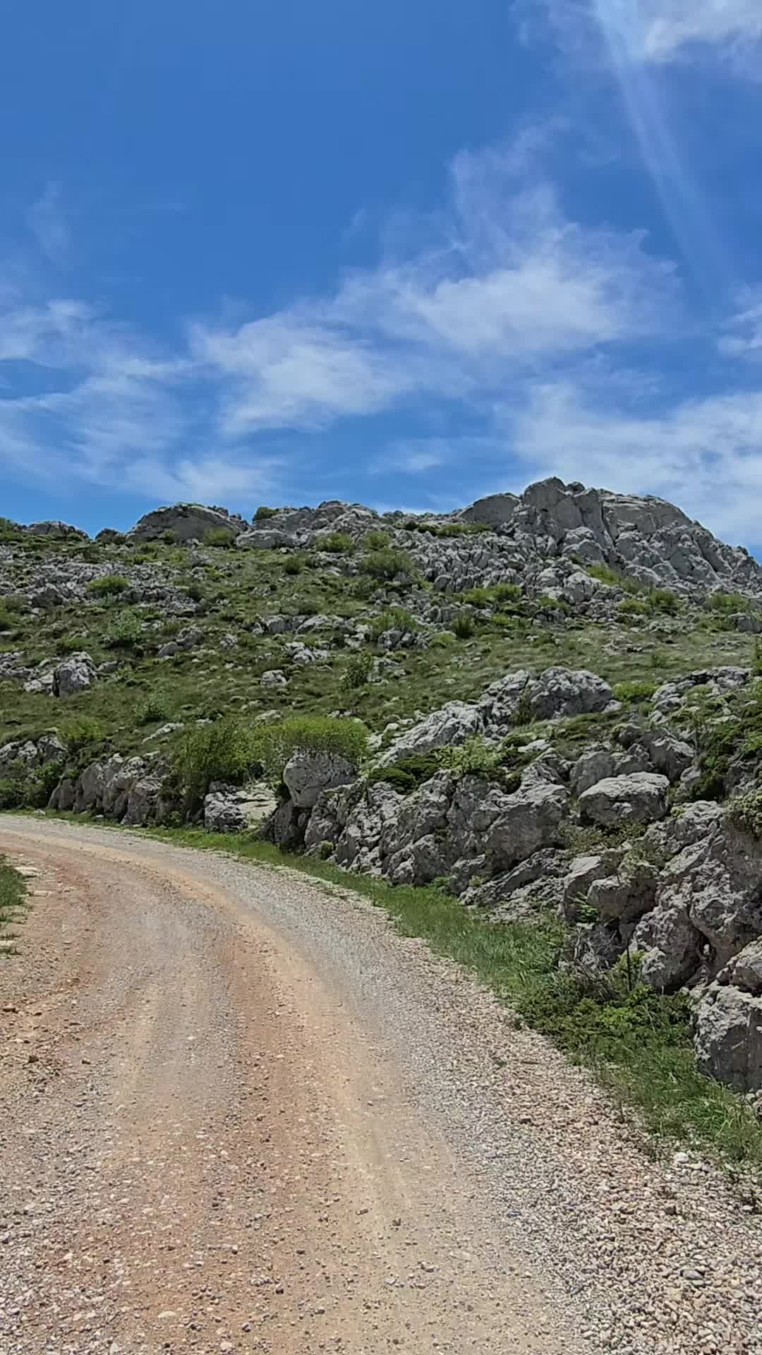 @Maja Crnobrnja