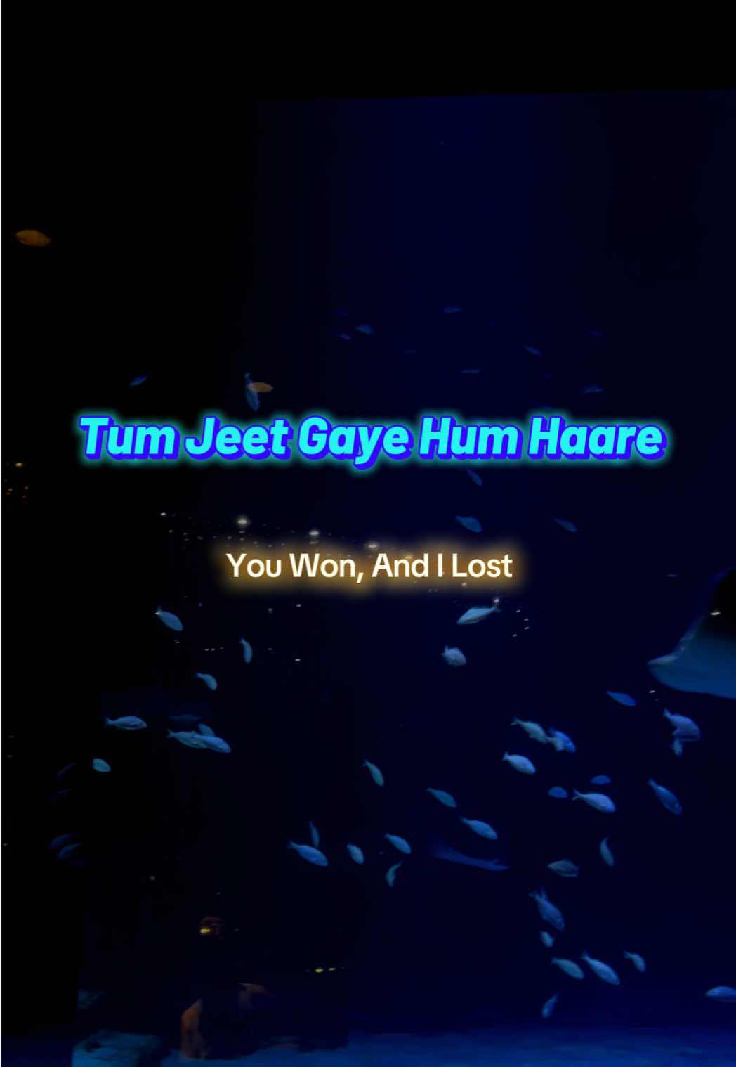 @hindi.lyrics0