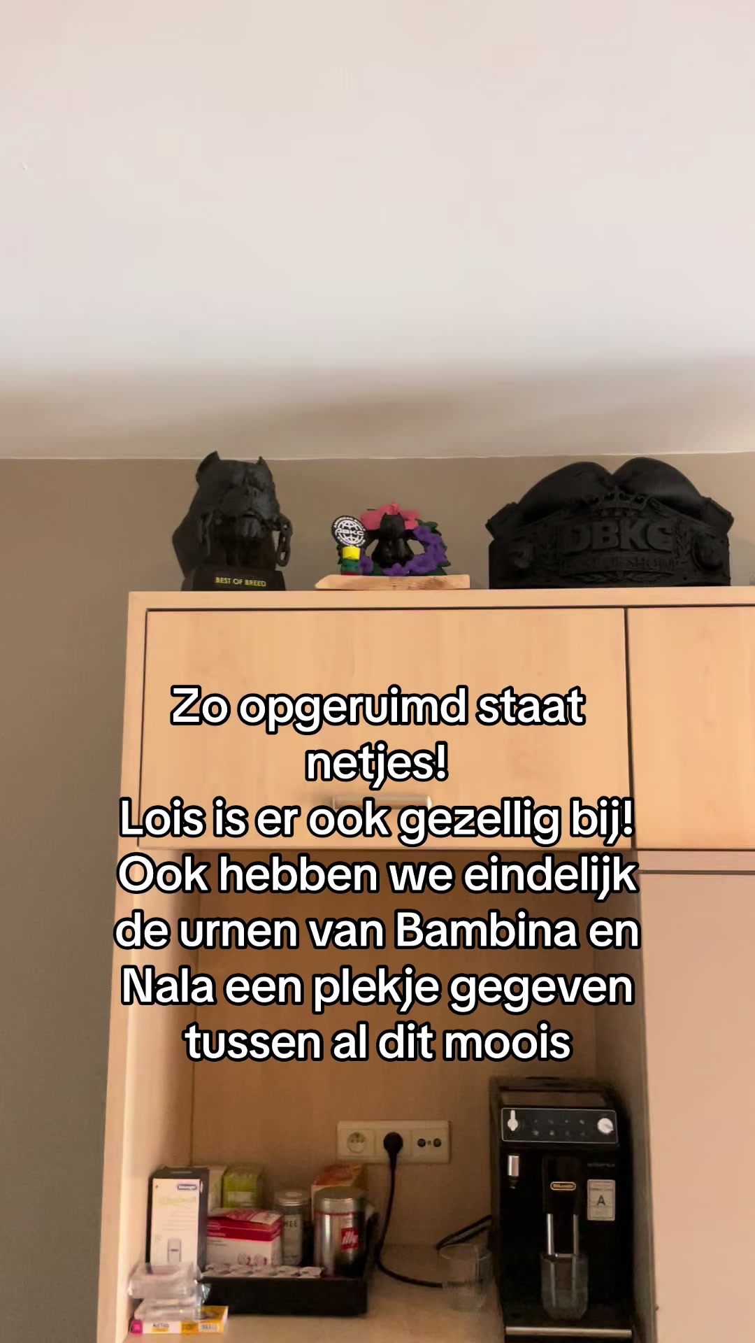 @bigdutchbullykennel