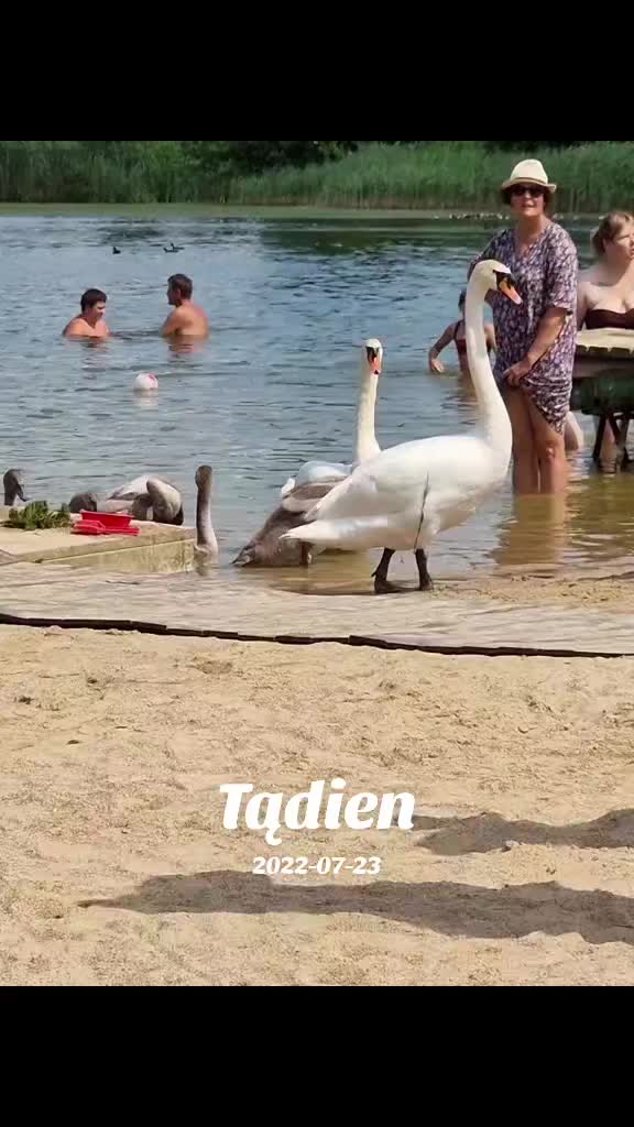 @daiva.daiva16