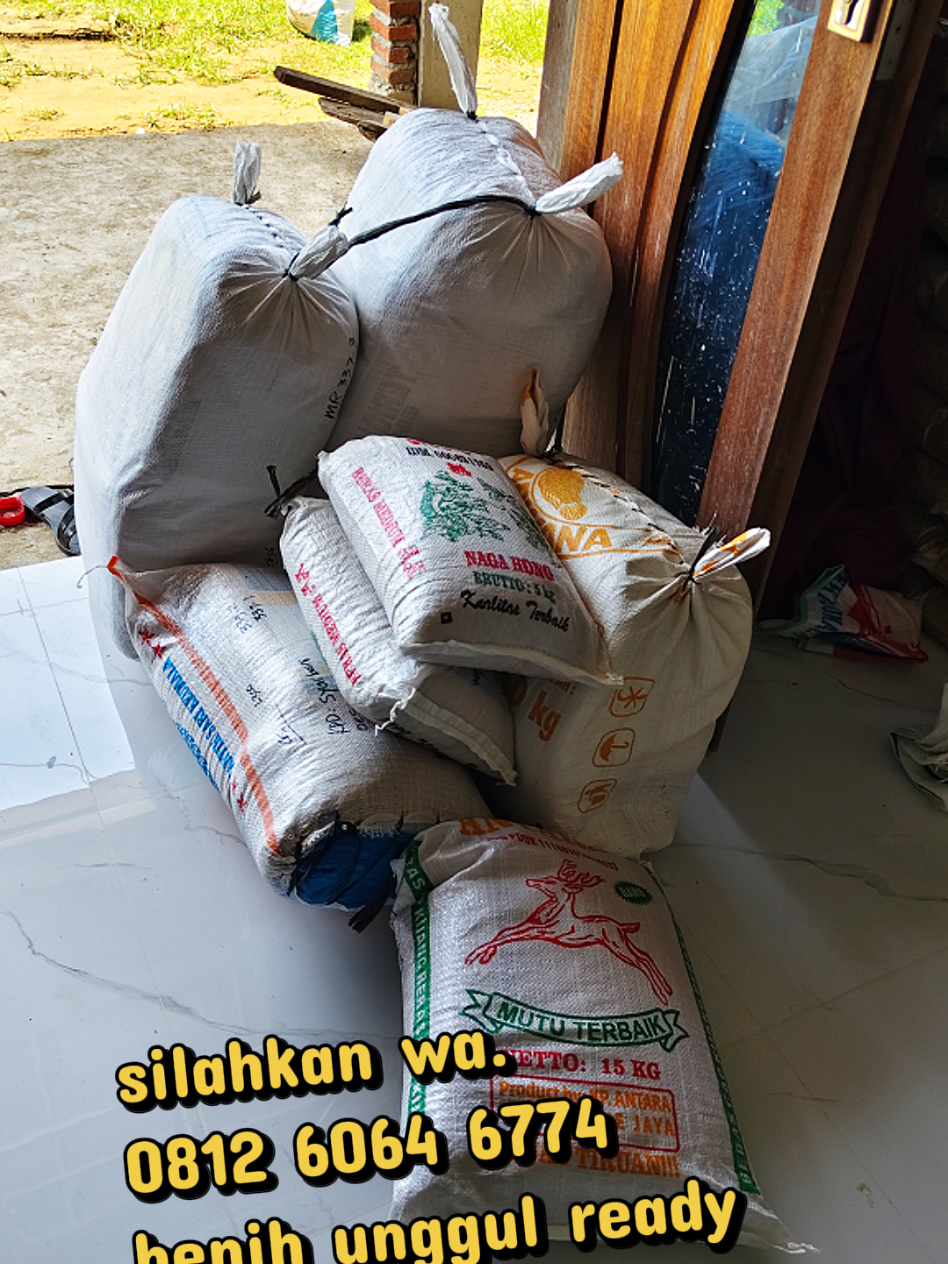 @SAFWADI BENIH UNGGUL