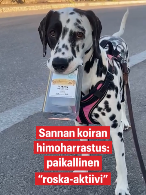 @Ilta-Sanomat