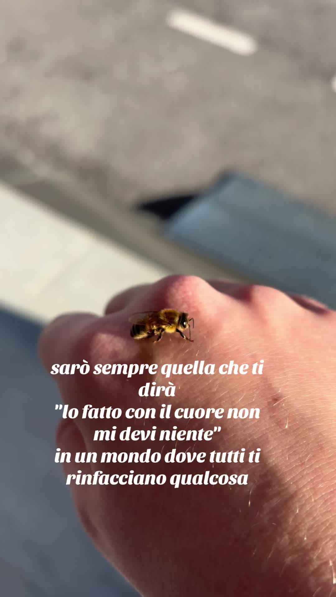 @Emilia Rutyna