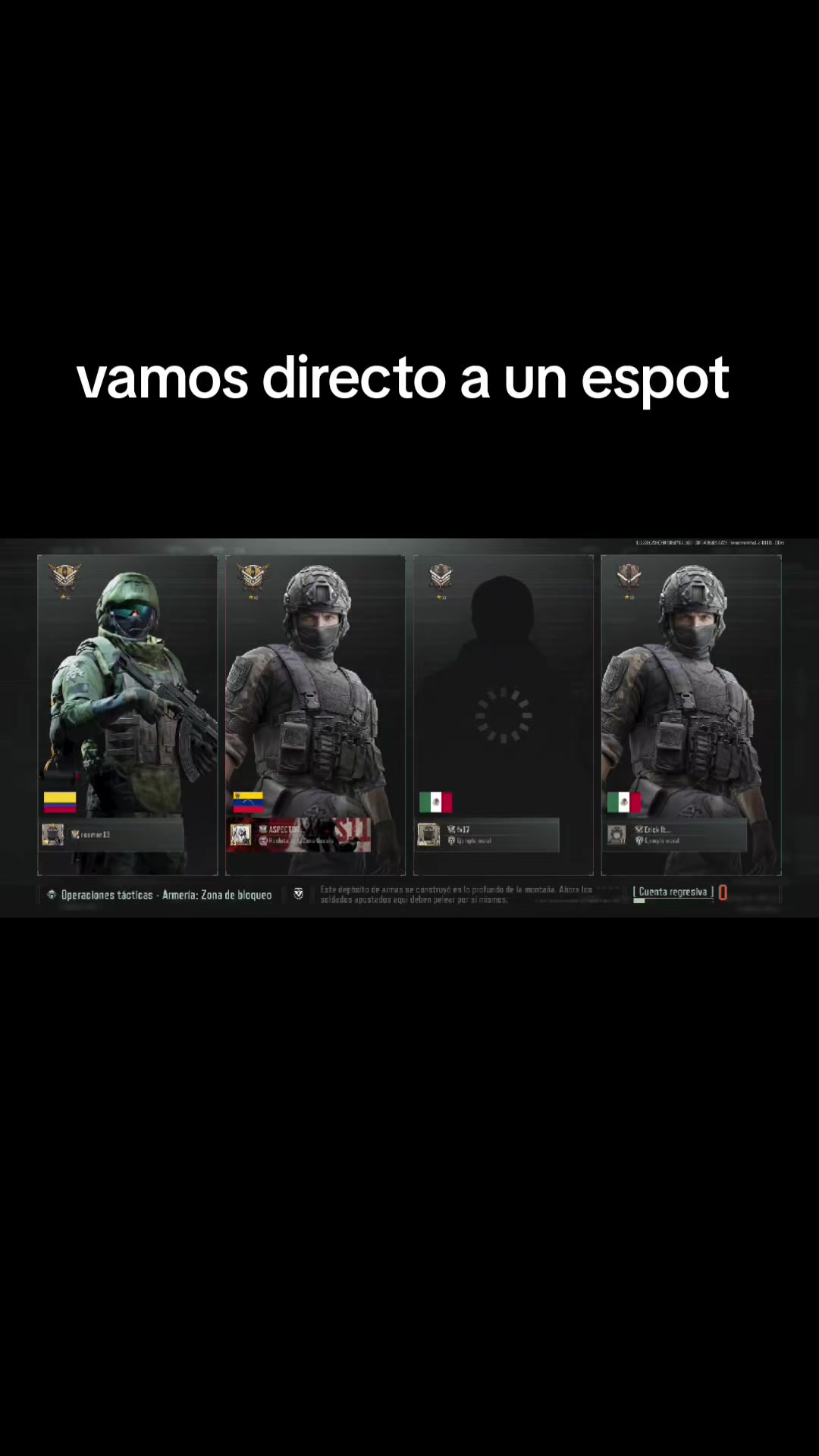@gato de combate