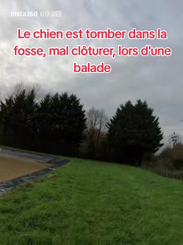 @Loanne Cannelle