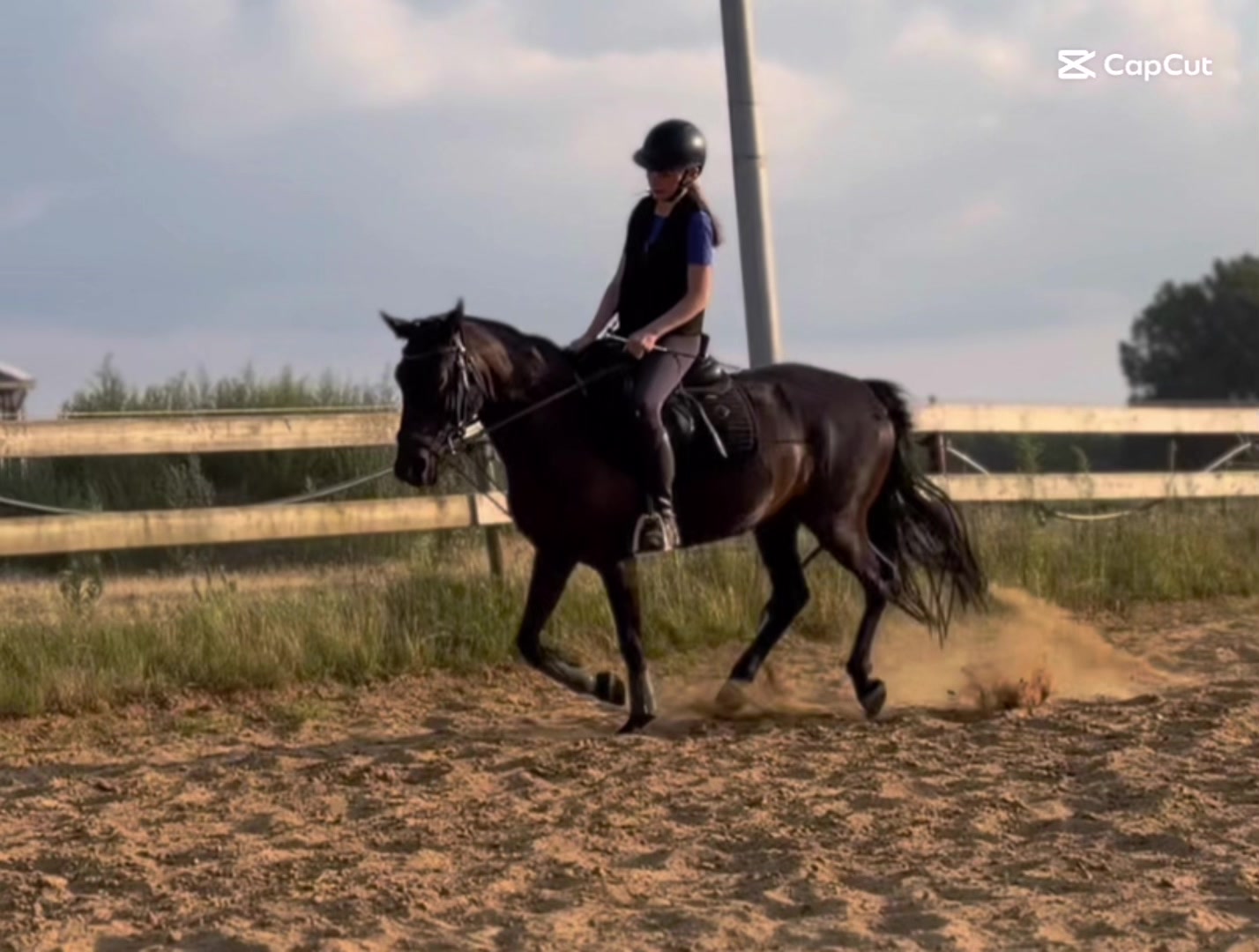 @Equi Roosje🇳🇱