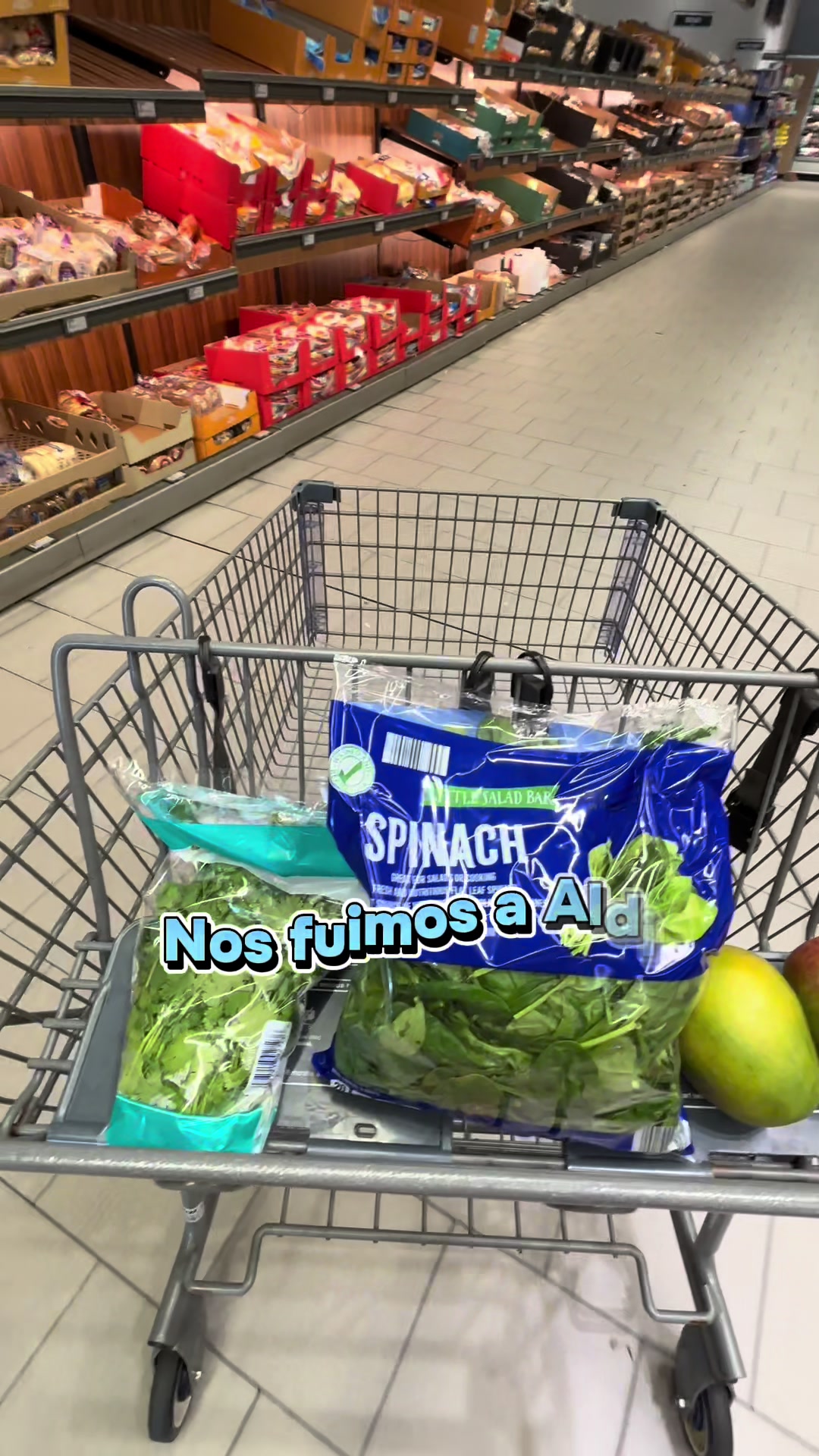 @My Shopping Mood✨