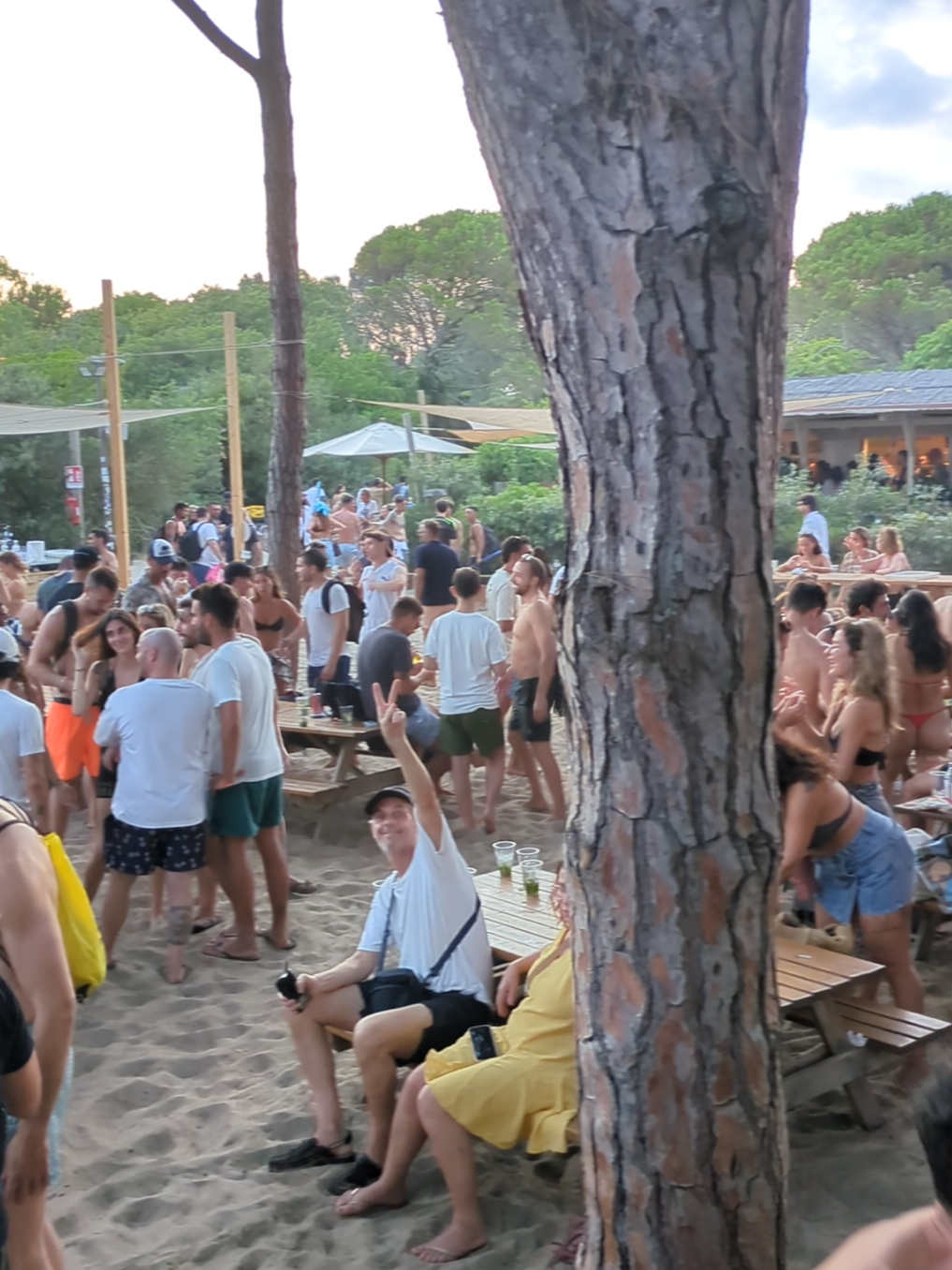 @FESTPARTY