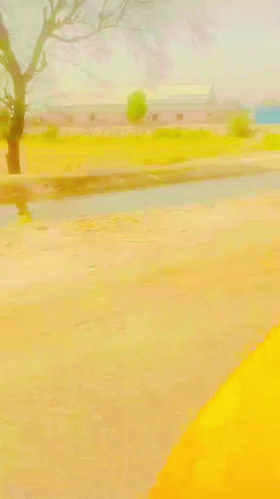 @inzamam jani