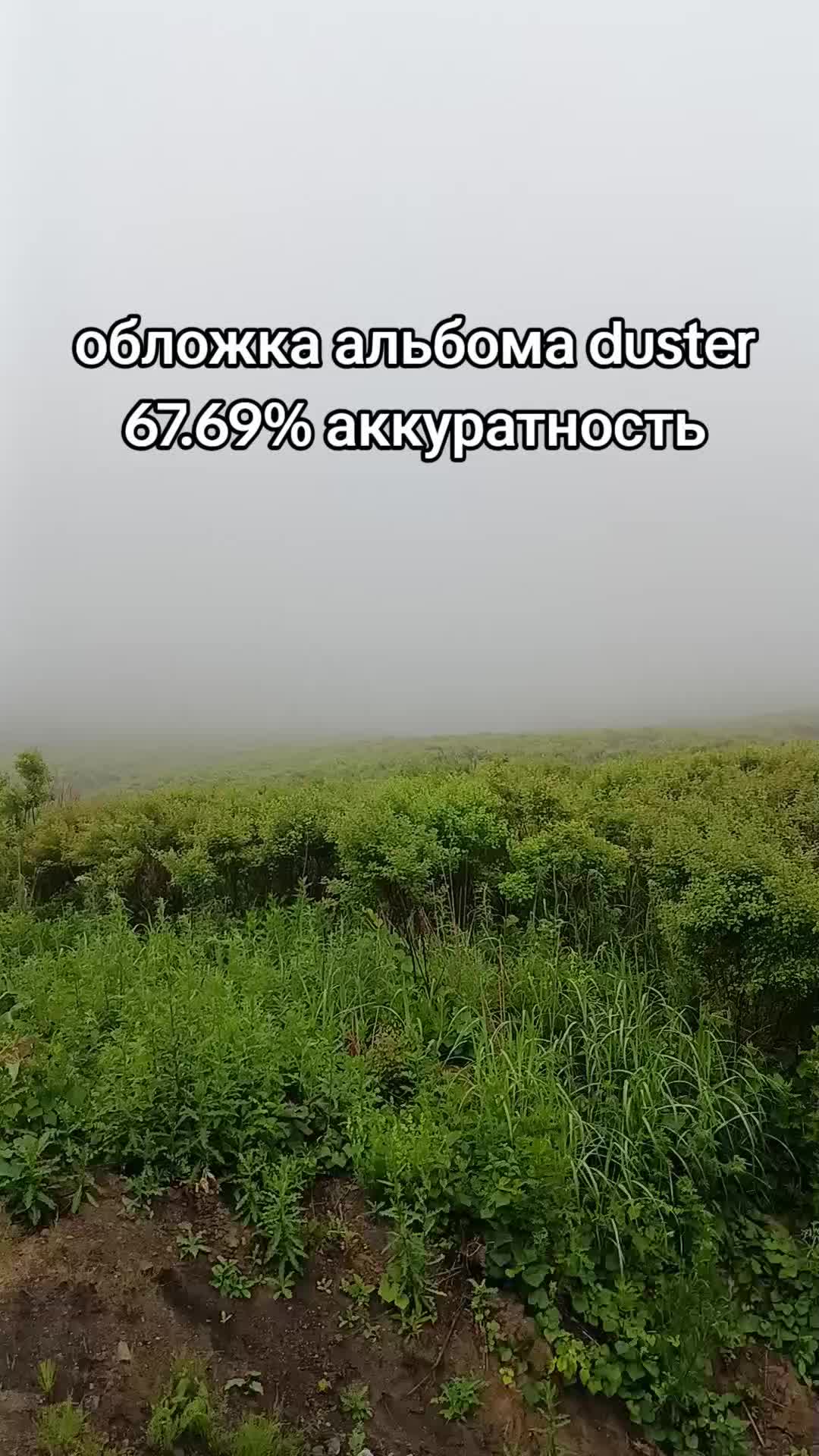 @Socialization_Enjoyer