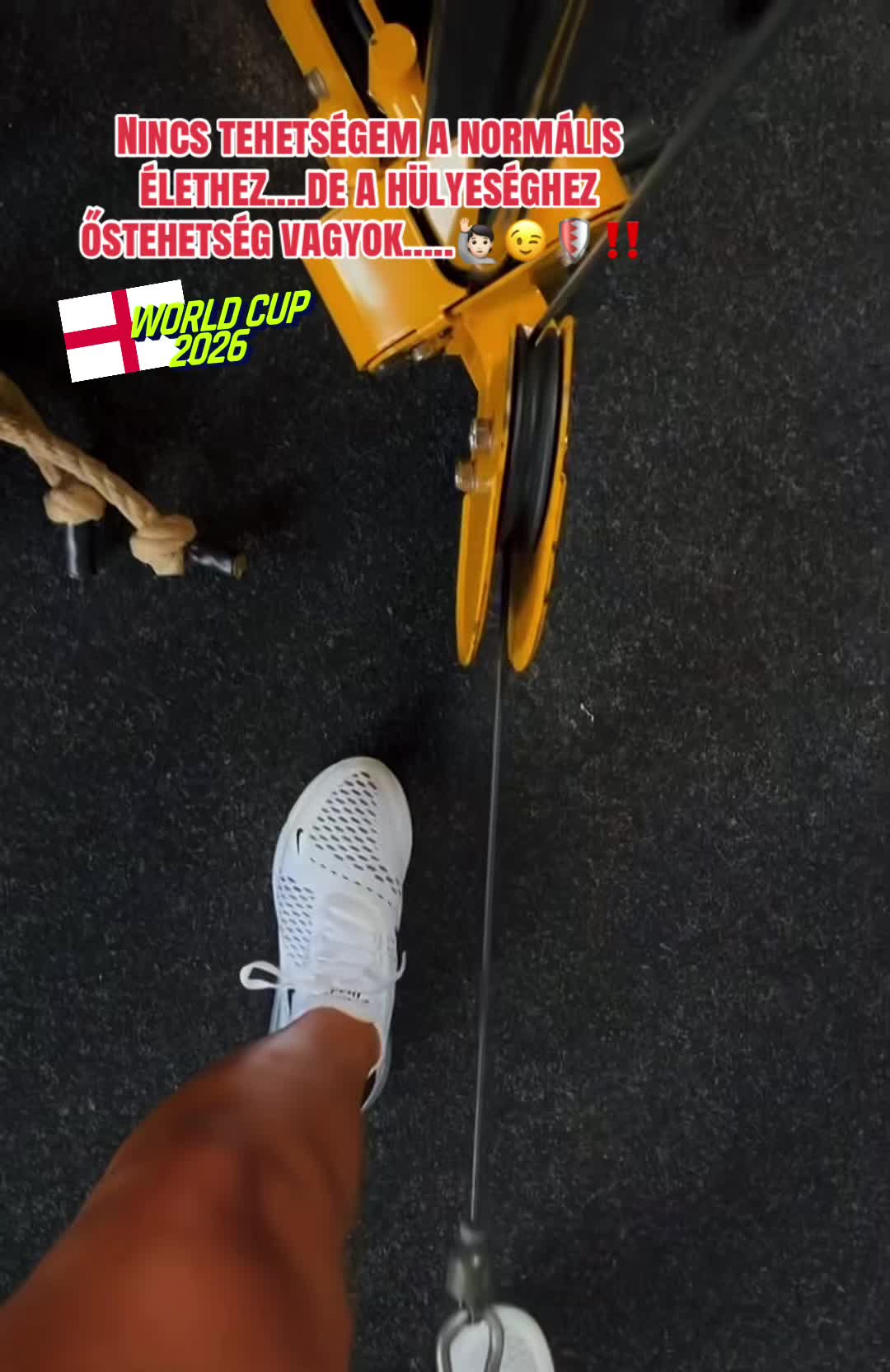 @D&oacute;riD&oacute;ri