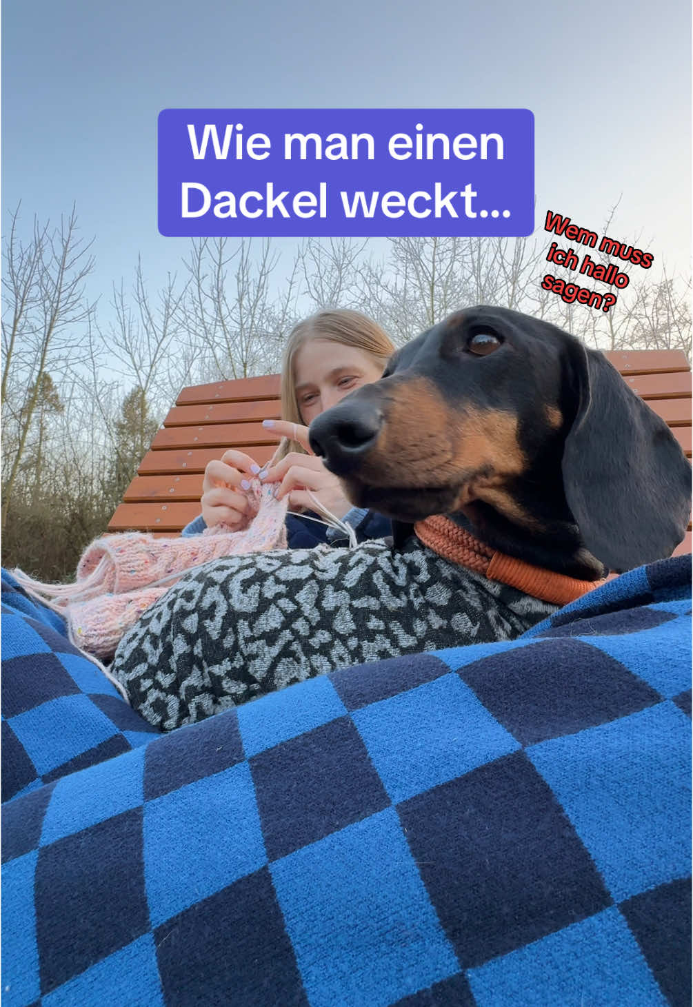 @SausagedogMaja