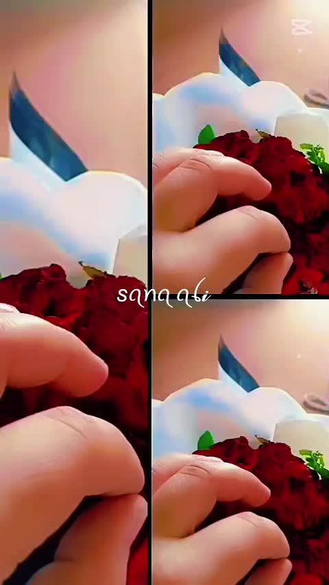 @SANa Ali🥰