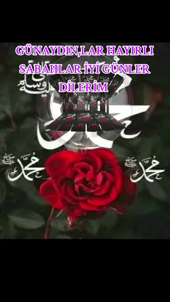 @03ŞAHİN03