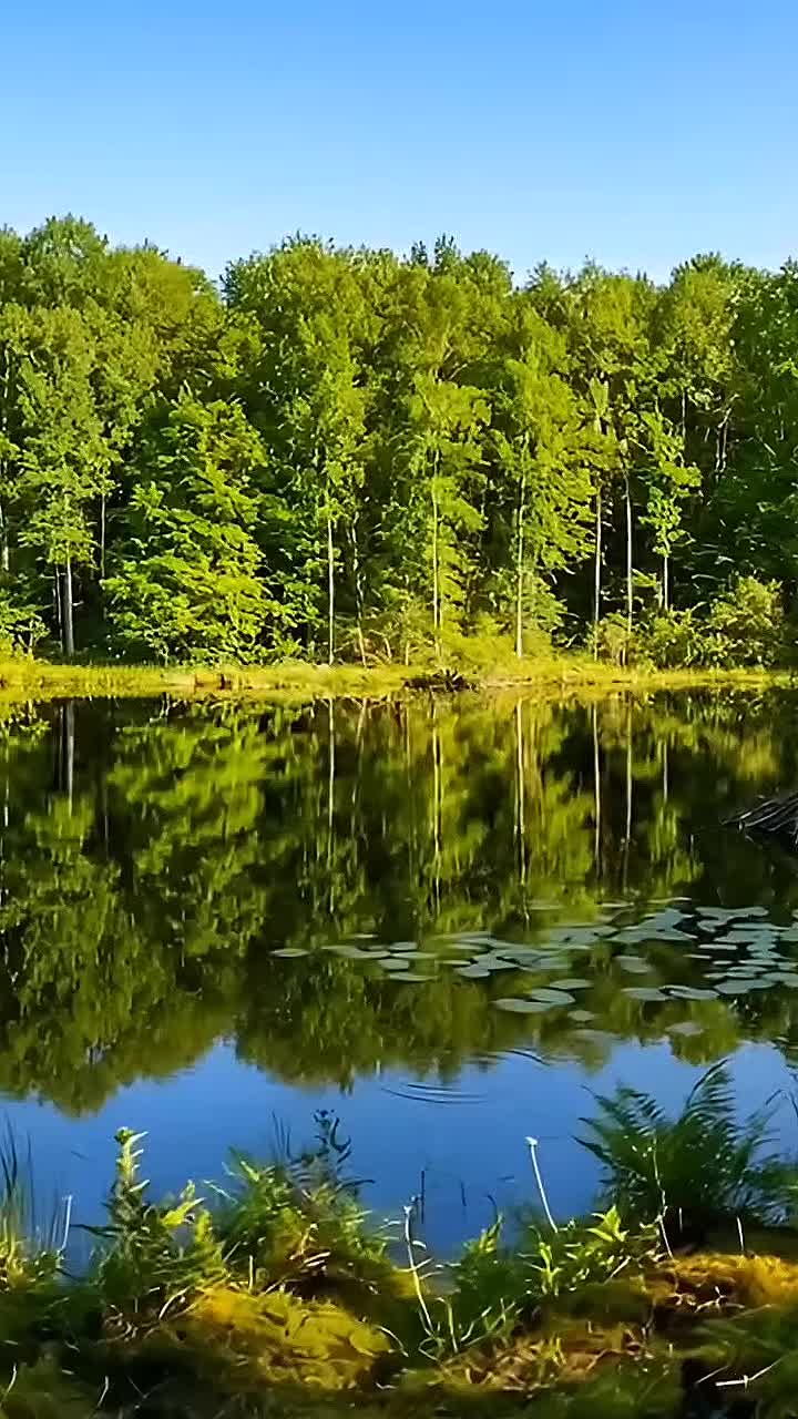 @Mountain_lover58599