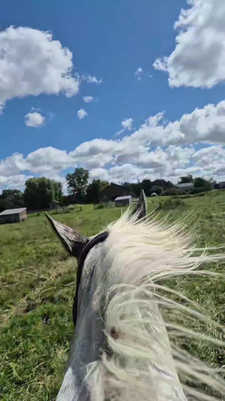 @Tiana 👩🏽&zwj;🌾🐴