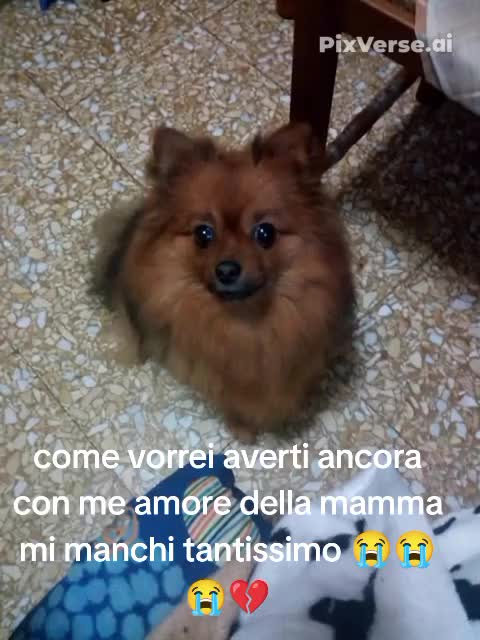 @Carmela Aiello