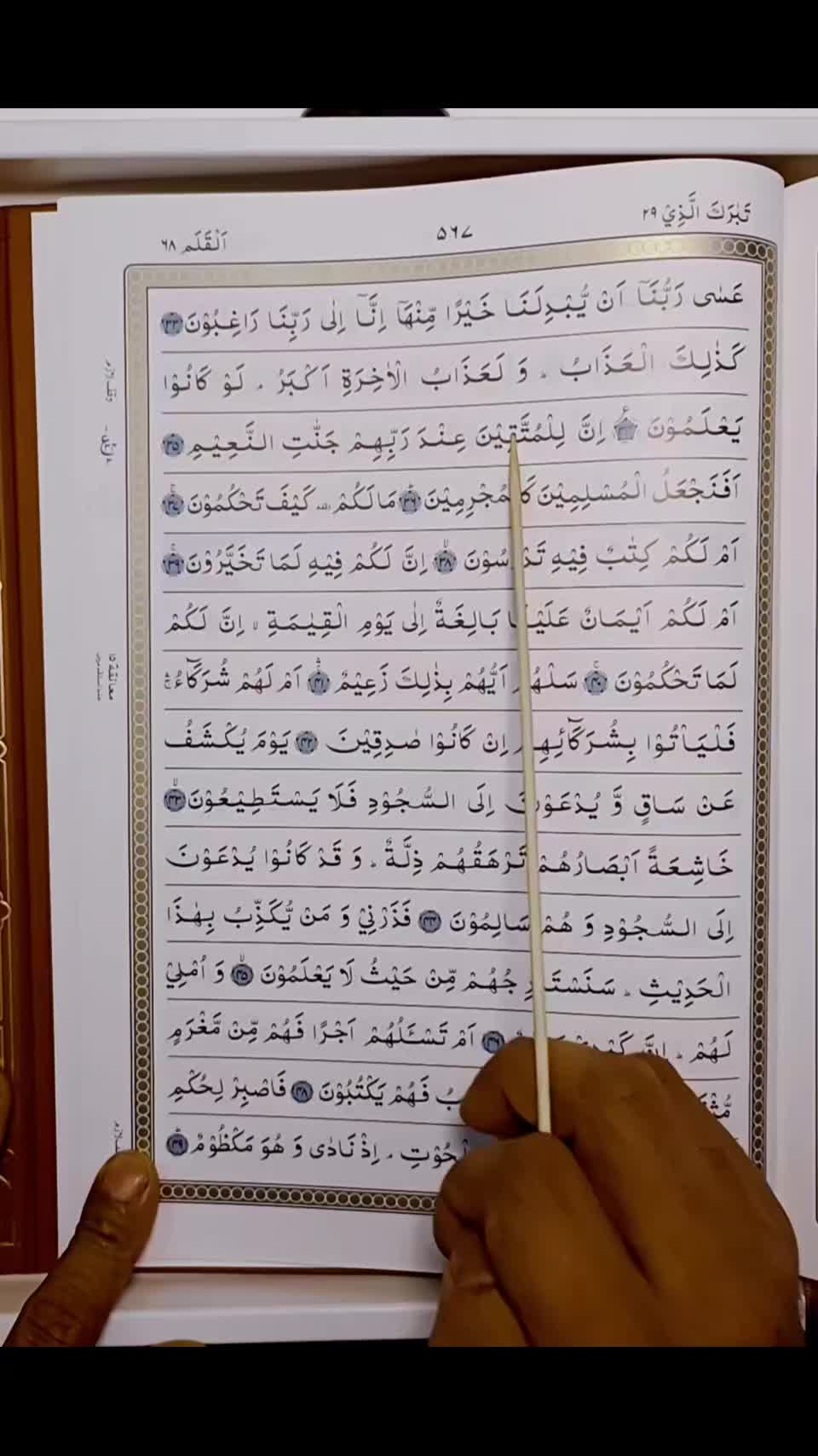 @Quran's Faizan