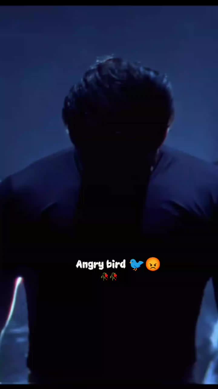 @💫𝖆𝖓𝖌𝖗𝖞 𝖇𝖎𝖗𝖉𝖘💫💥