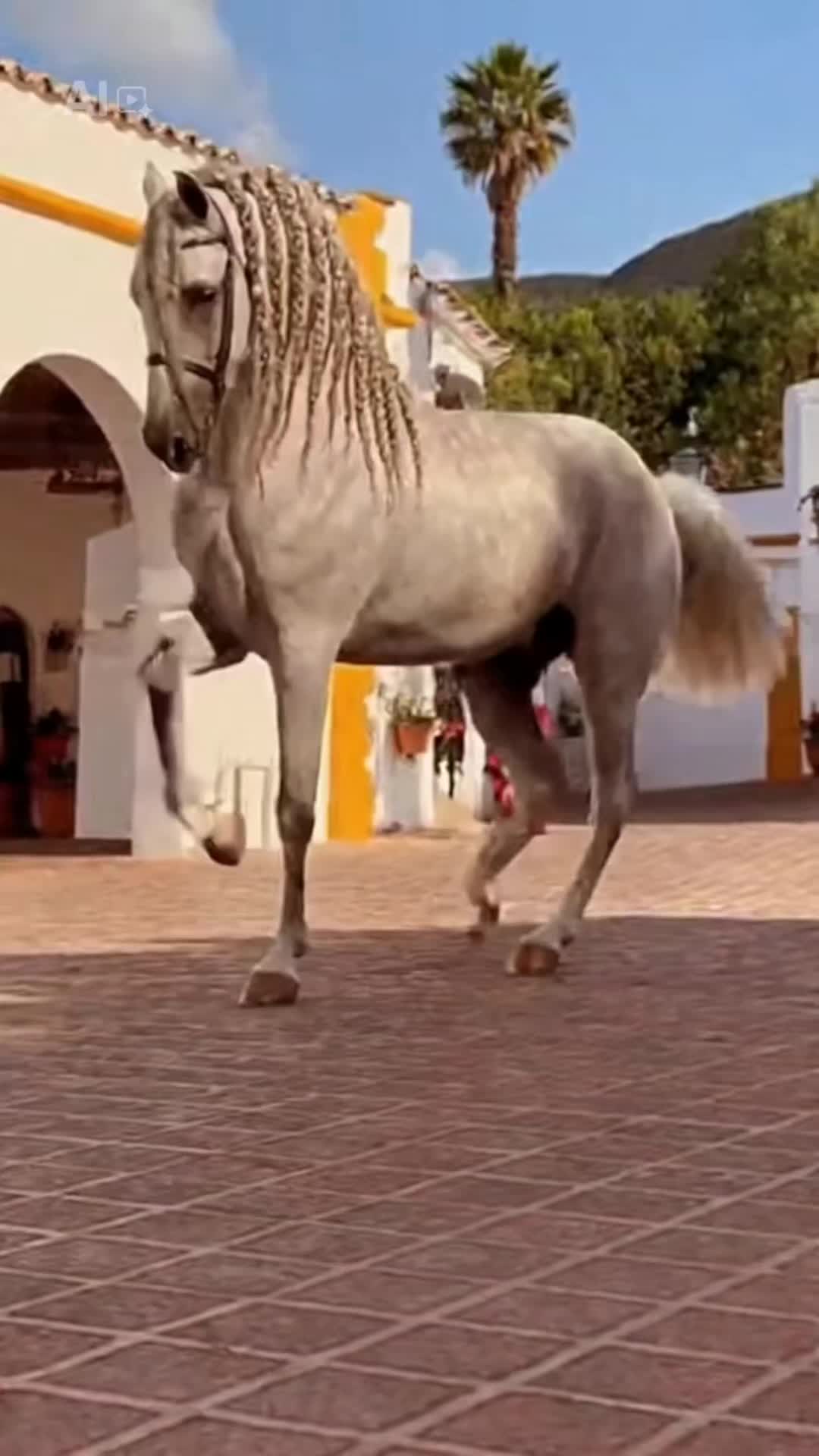 @lala