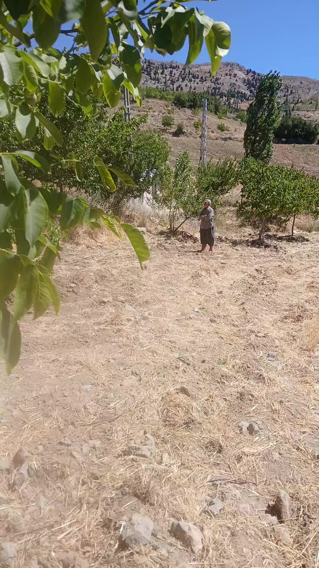 @&Uuml;mit g&ouml;kburun