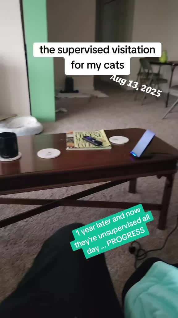 @l.m.cosplaysandwrites 🍉