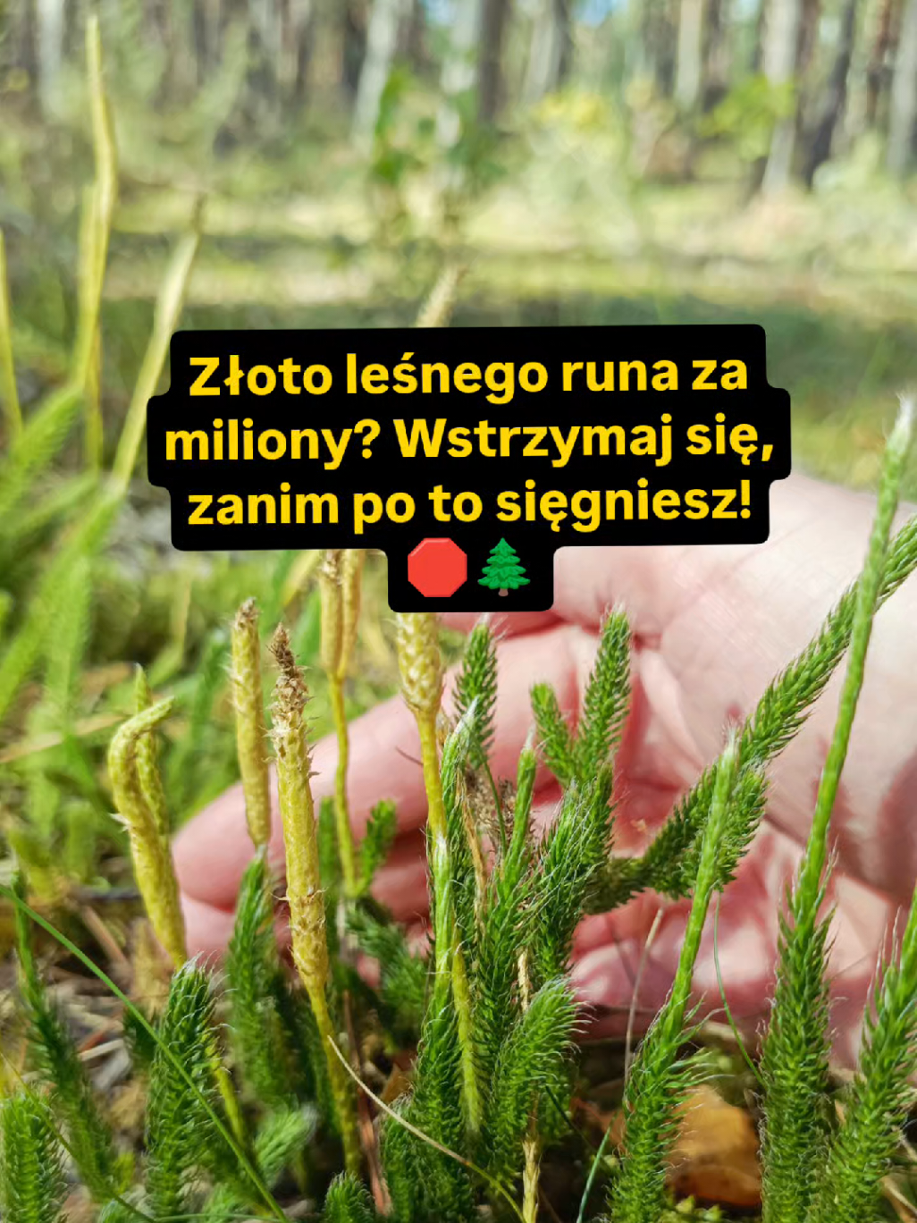 @Chwila Na Naturę🌿