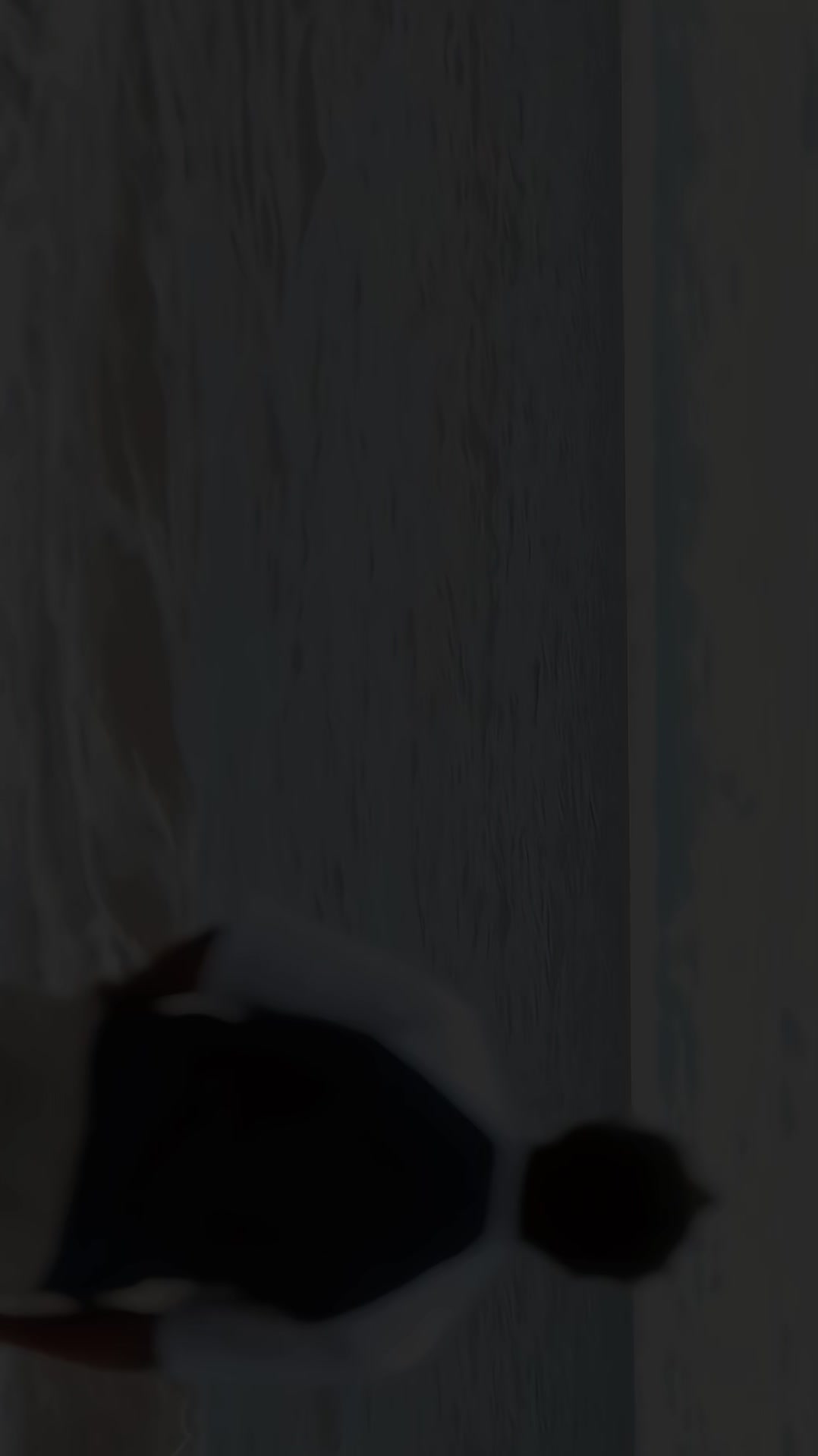 @ŘΔƤŦØŘ >🦖