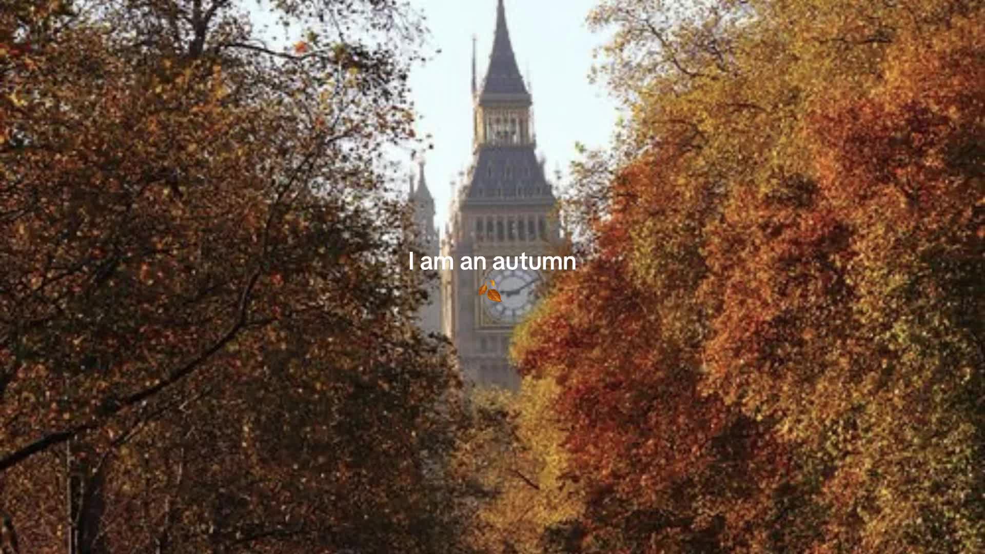 @ℳ