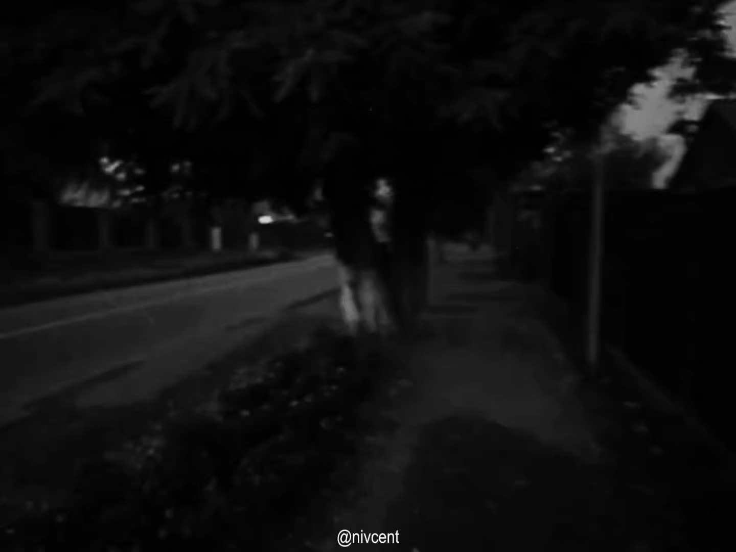 @𝗡𝗶𝘃𝗰𝗲𝗻𝘁