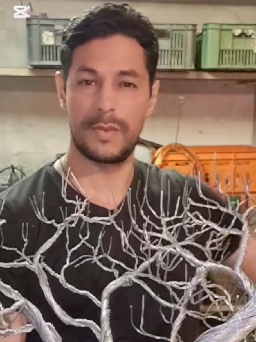@TreeofLifeArtfan