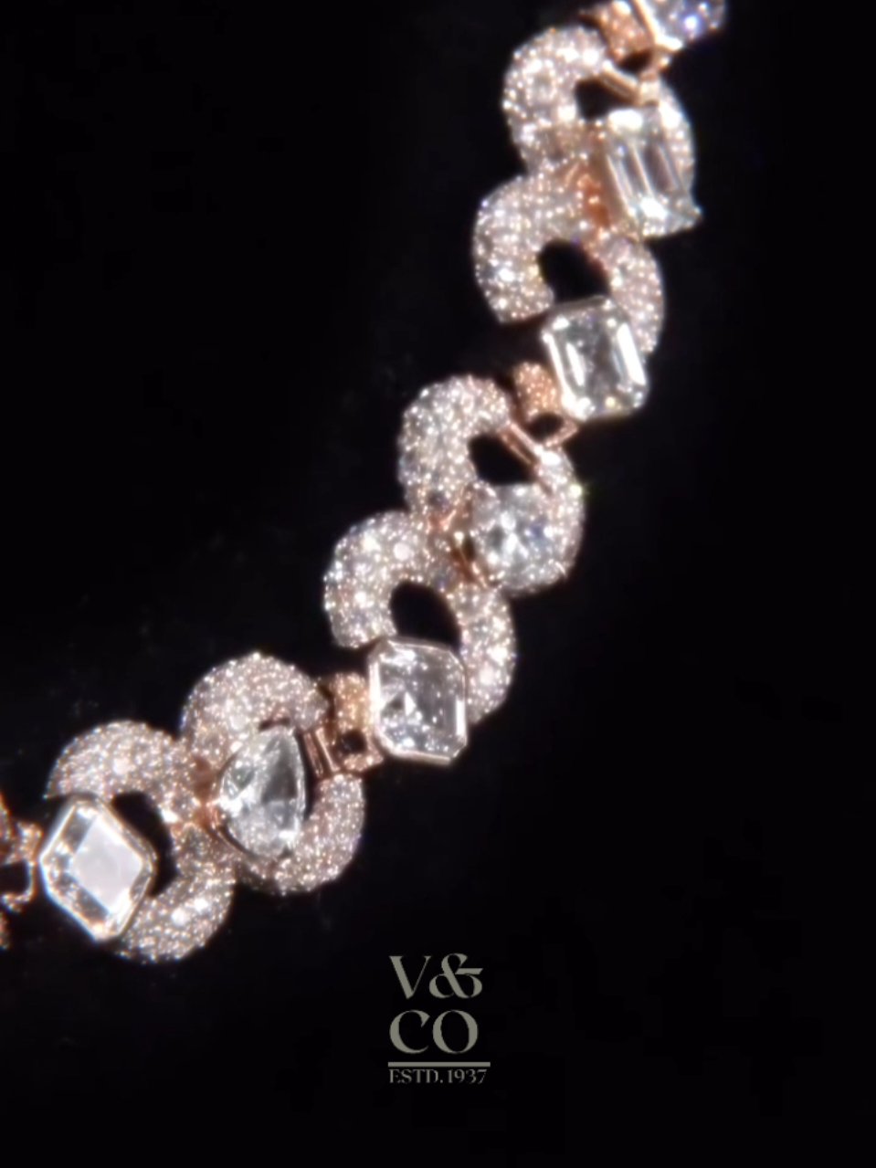 @Vrayas & Co. (Estd. 1937)