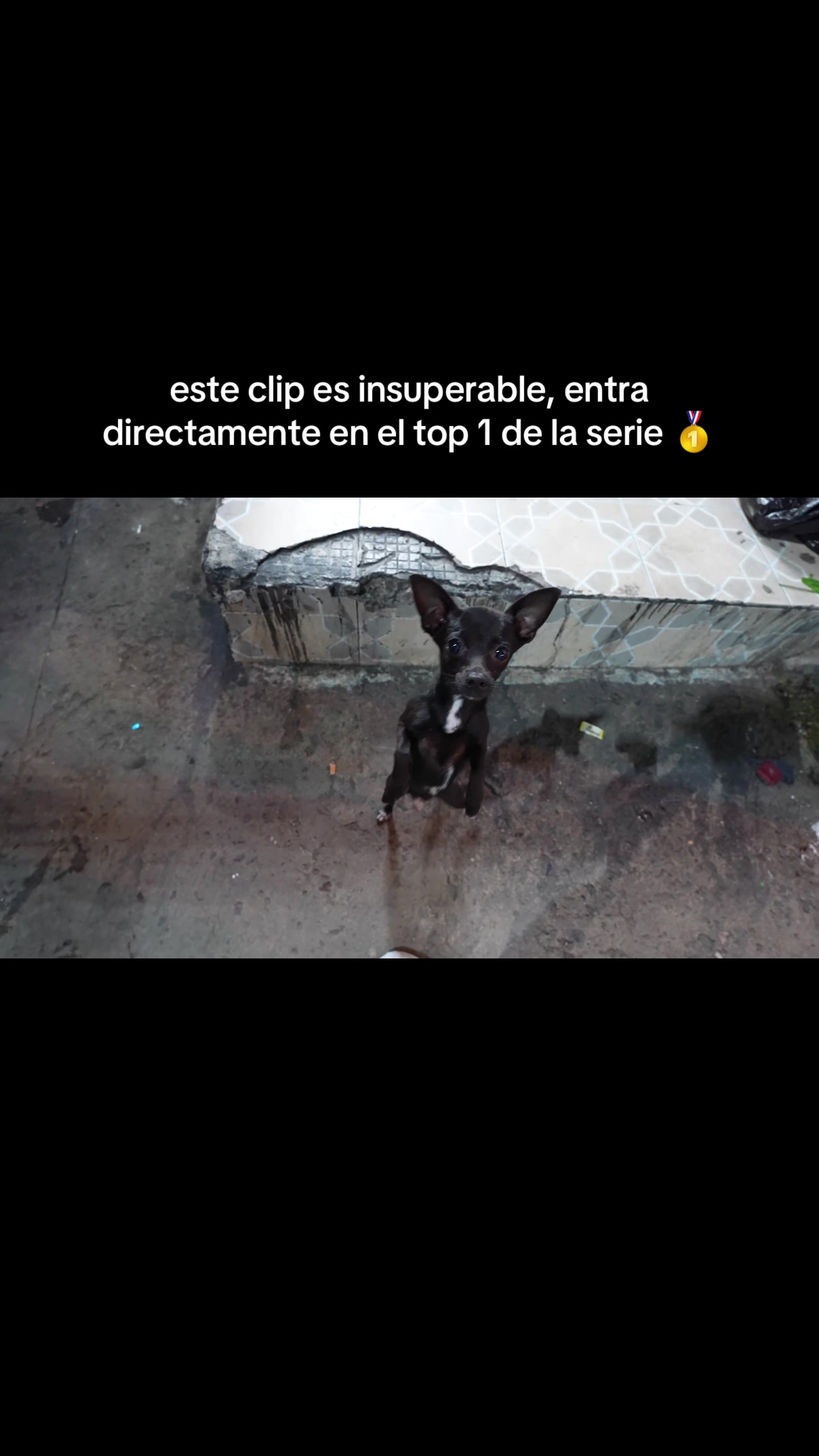 @nil