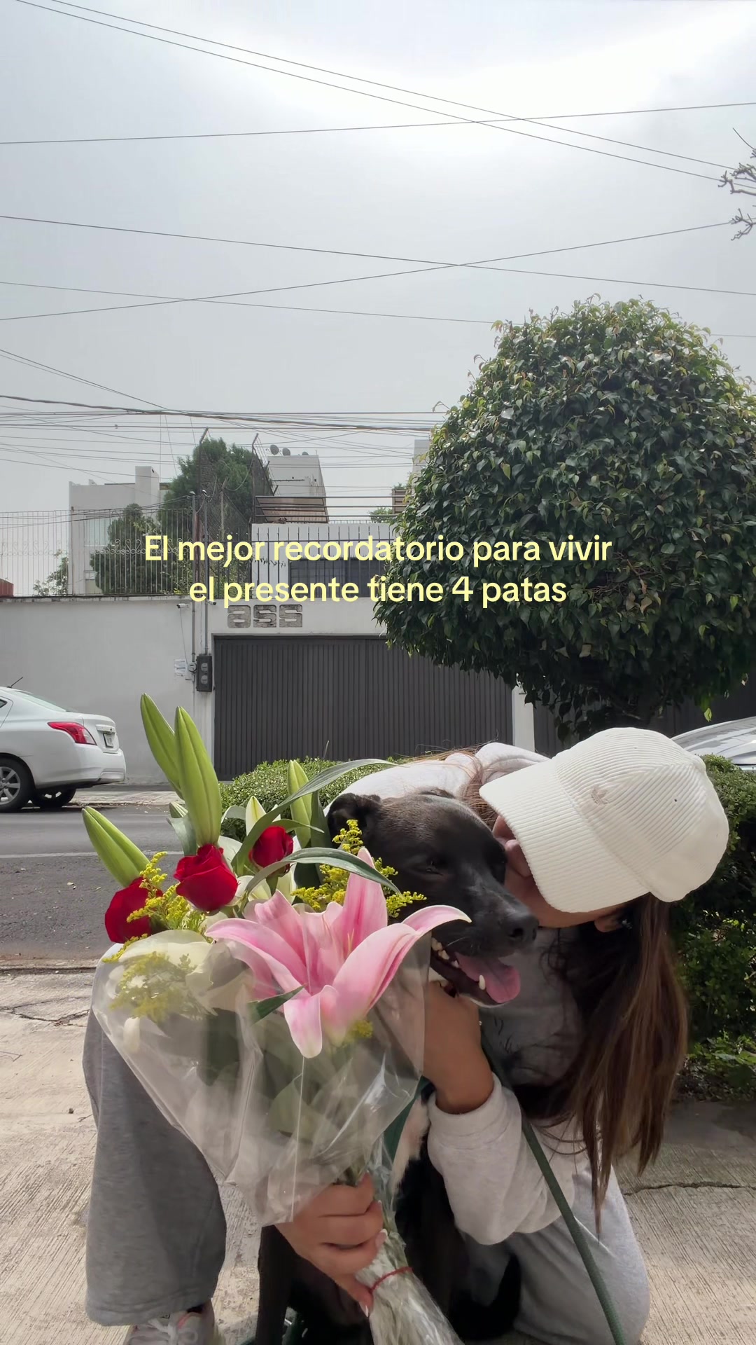 @Pat Leyva
