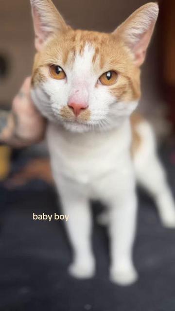 @𝕿𝖊𝖓𝖆𝖈𝖎𝖔𝖚𝖘 𝖛