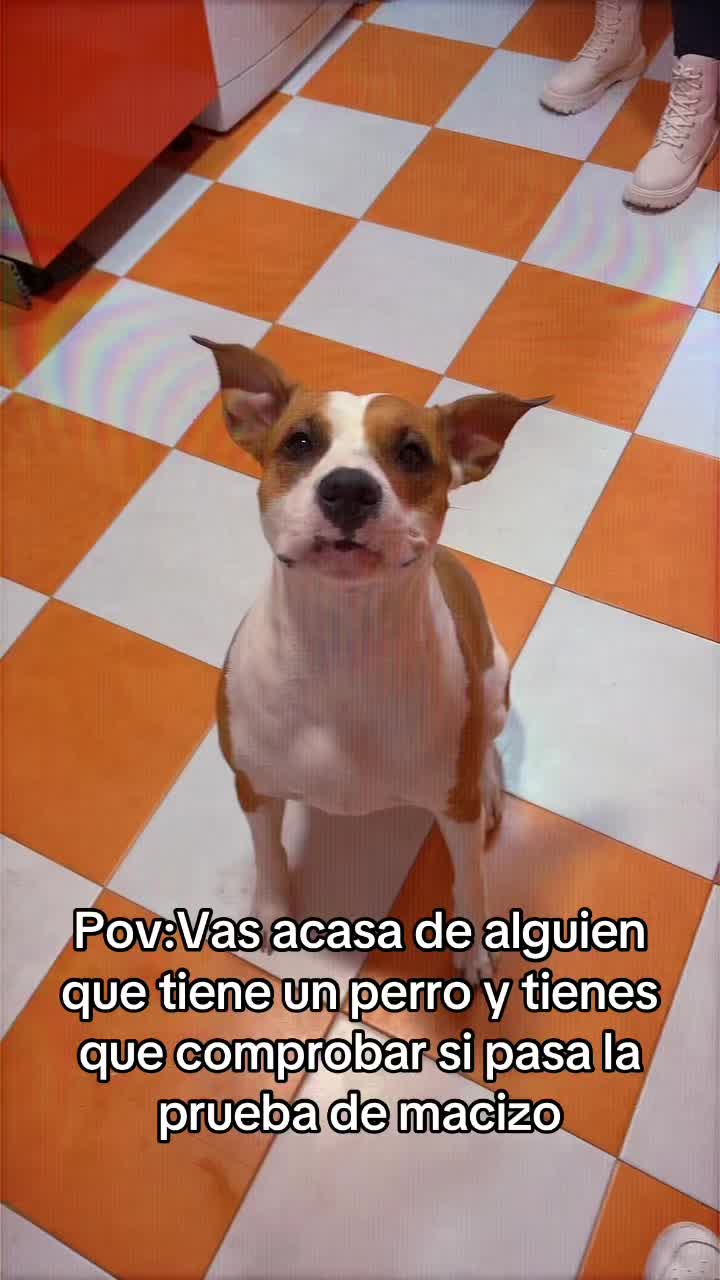 @@Deenxis
