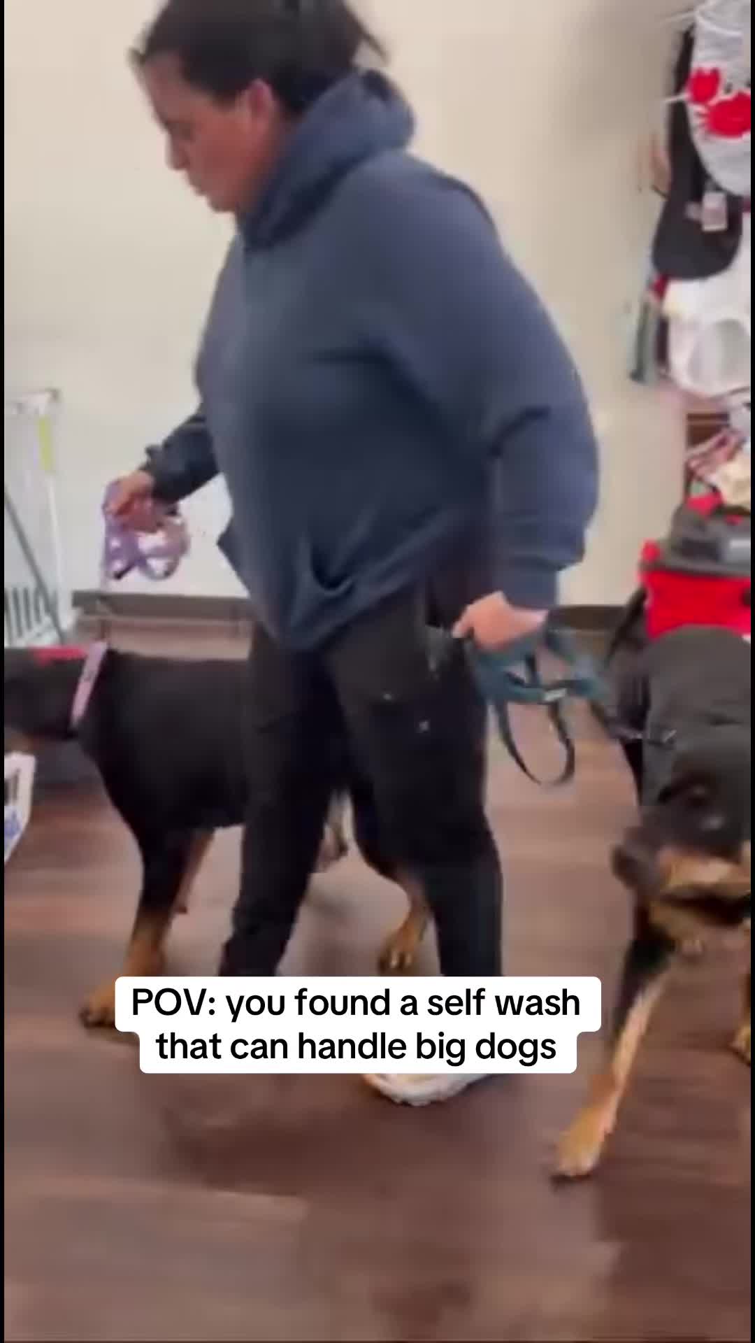 @dogwashla