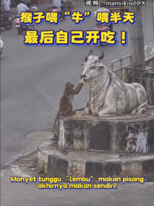 @中国报