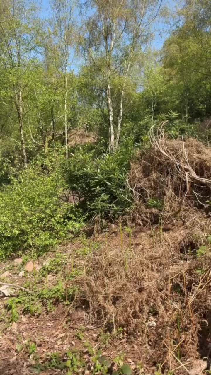 @Mtb.jo5h
