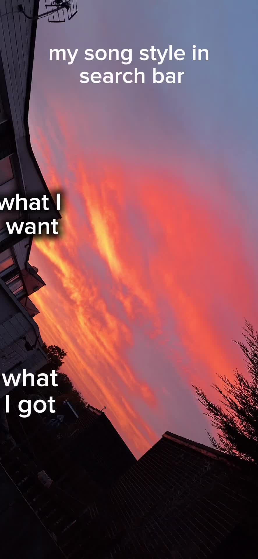 @★∞∆♪~—ʙ𝐥υꫀׁׅܻ݊_𝕜𝕚𝕨𝕚—~∆♪∞★