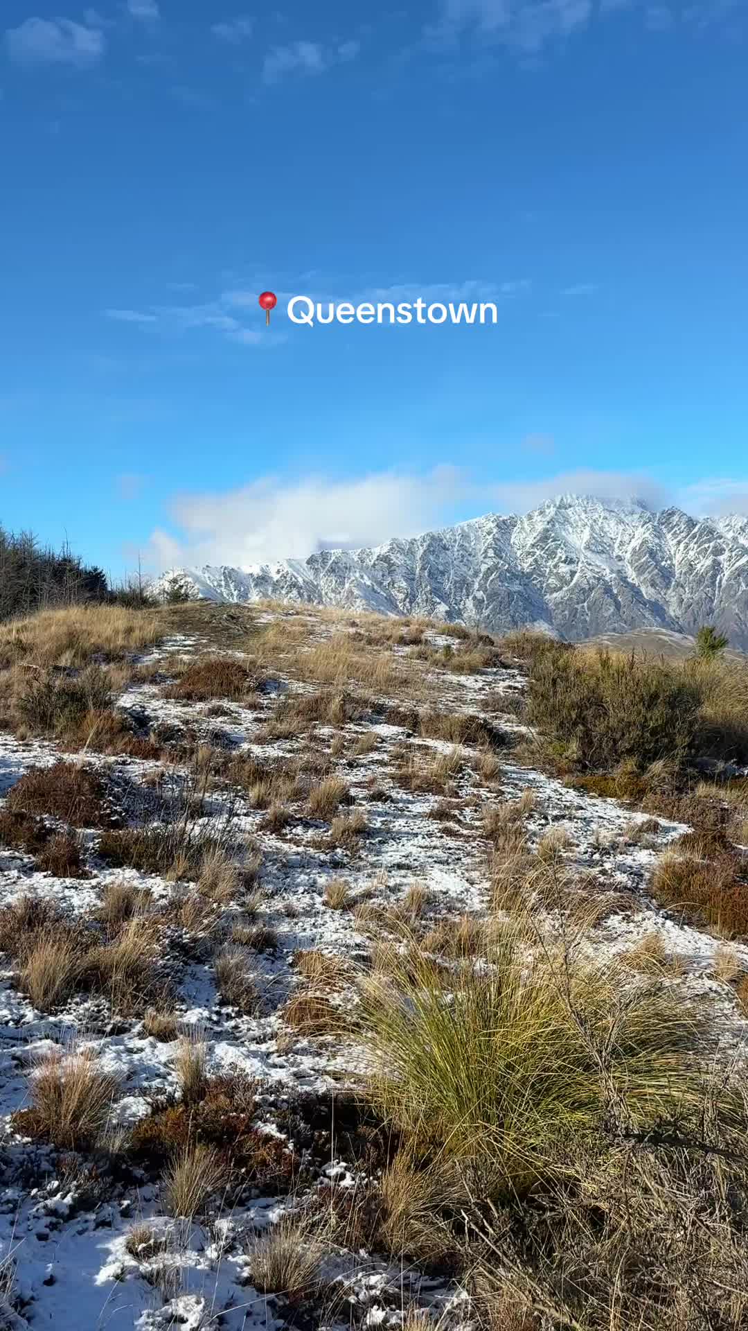 @idwerd&ensp;| QT🏂 & NZ 🚐🏔️