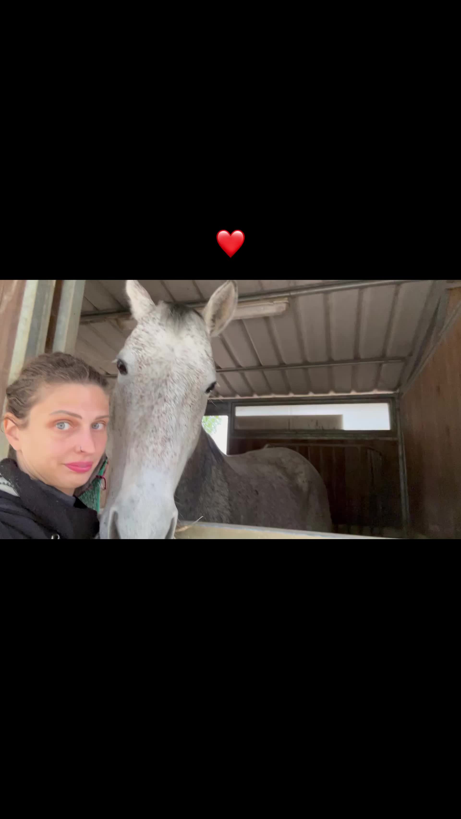 @Passione animali ❤️