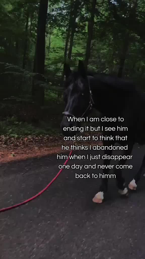 @2000sslideshowstorys