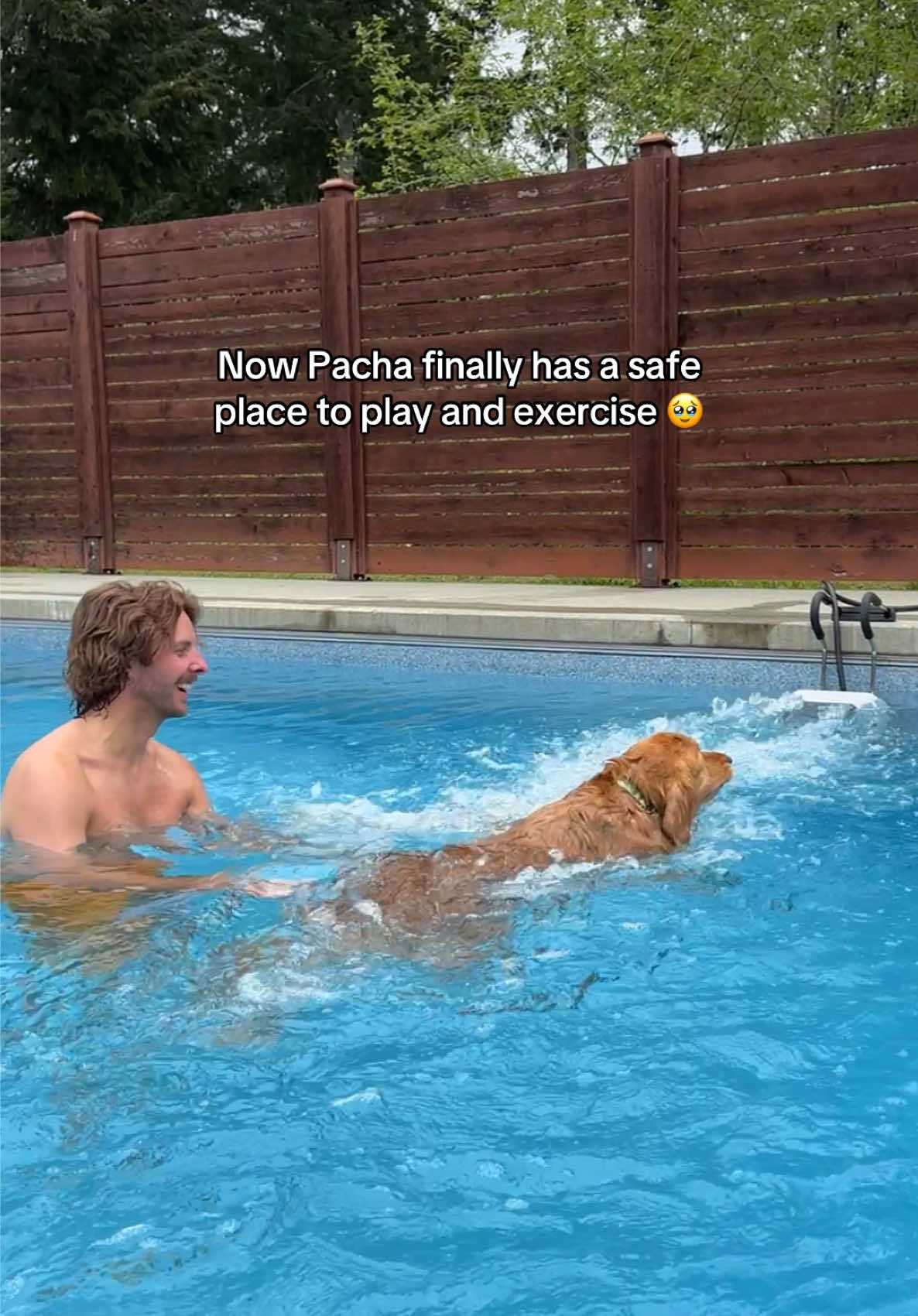 @Pacha and Bucket the Goldens